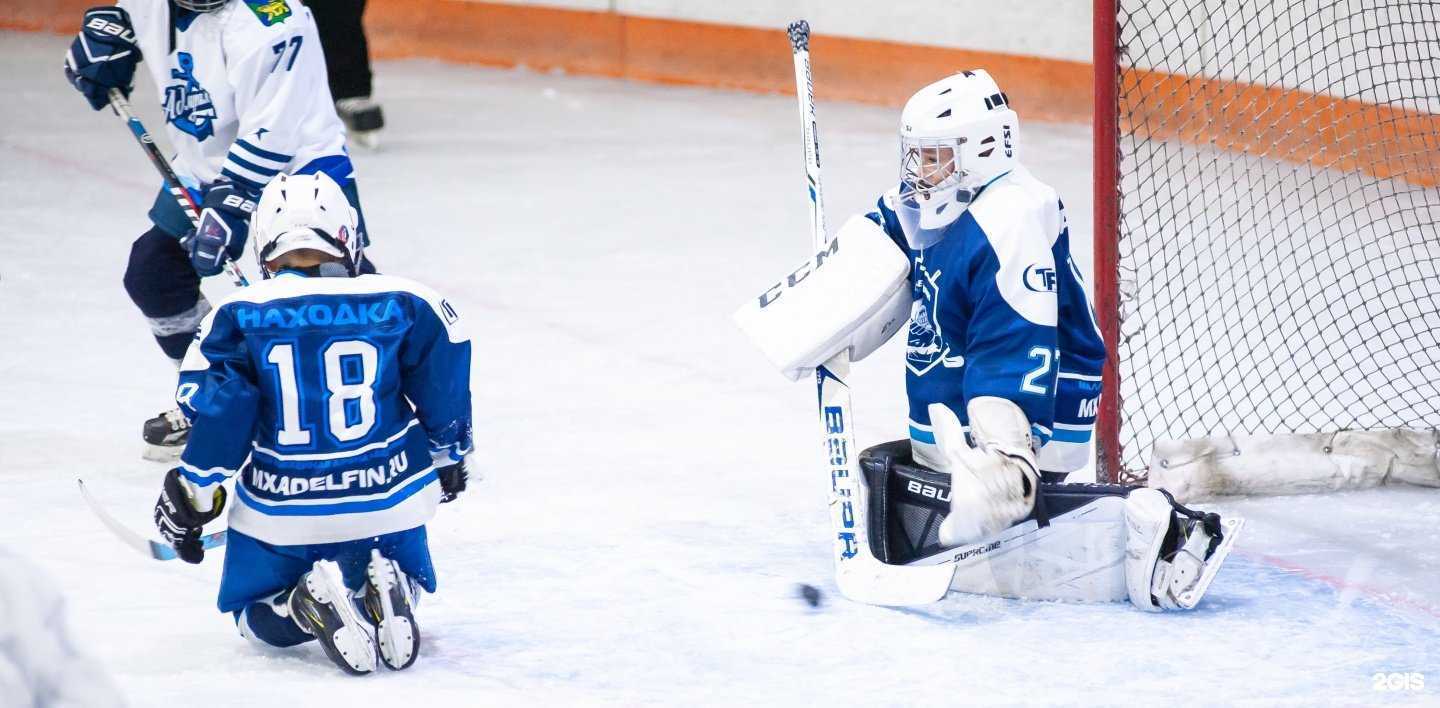 Отзывы на компанию Дельфин в г. Находка c фото