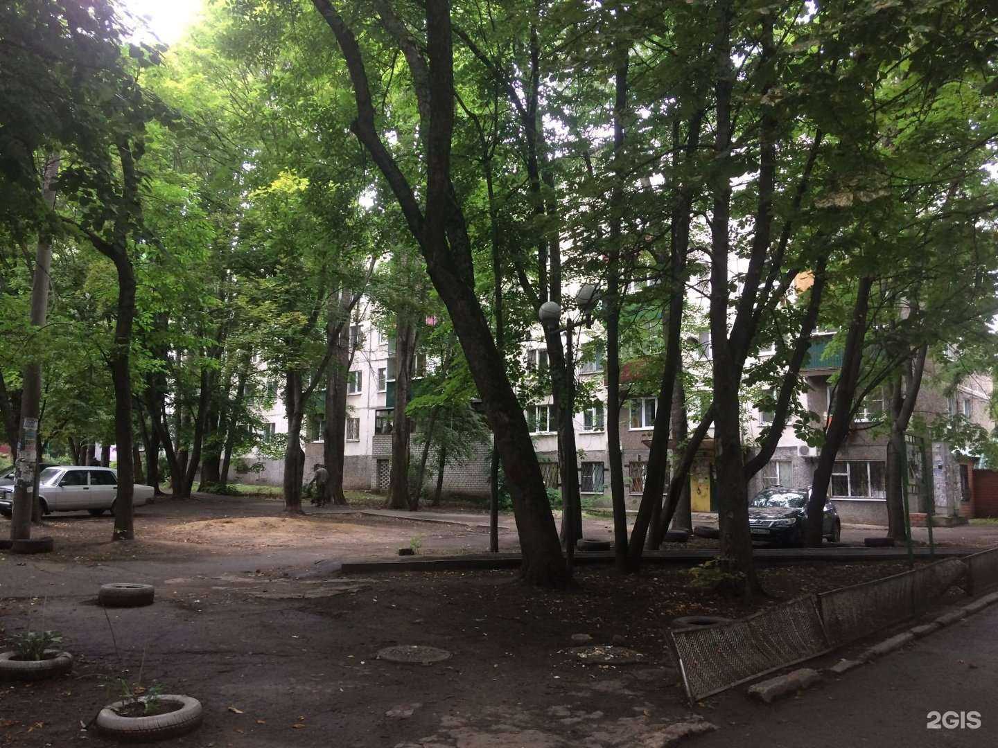 Отзывы на компанию Gold laser  в Липецке c фото - фотография 2 из 2