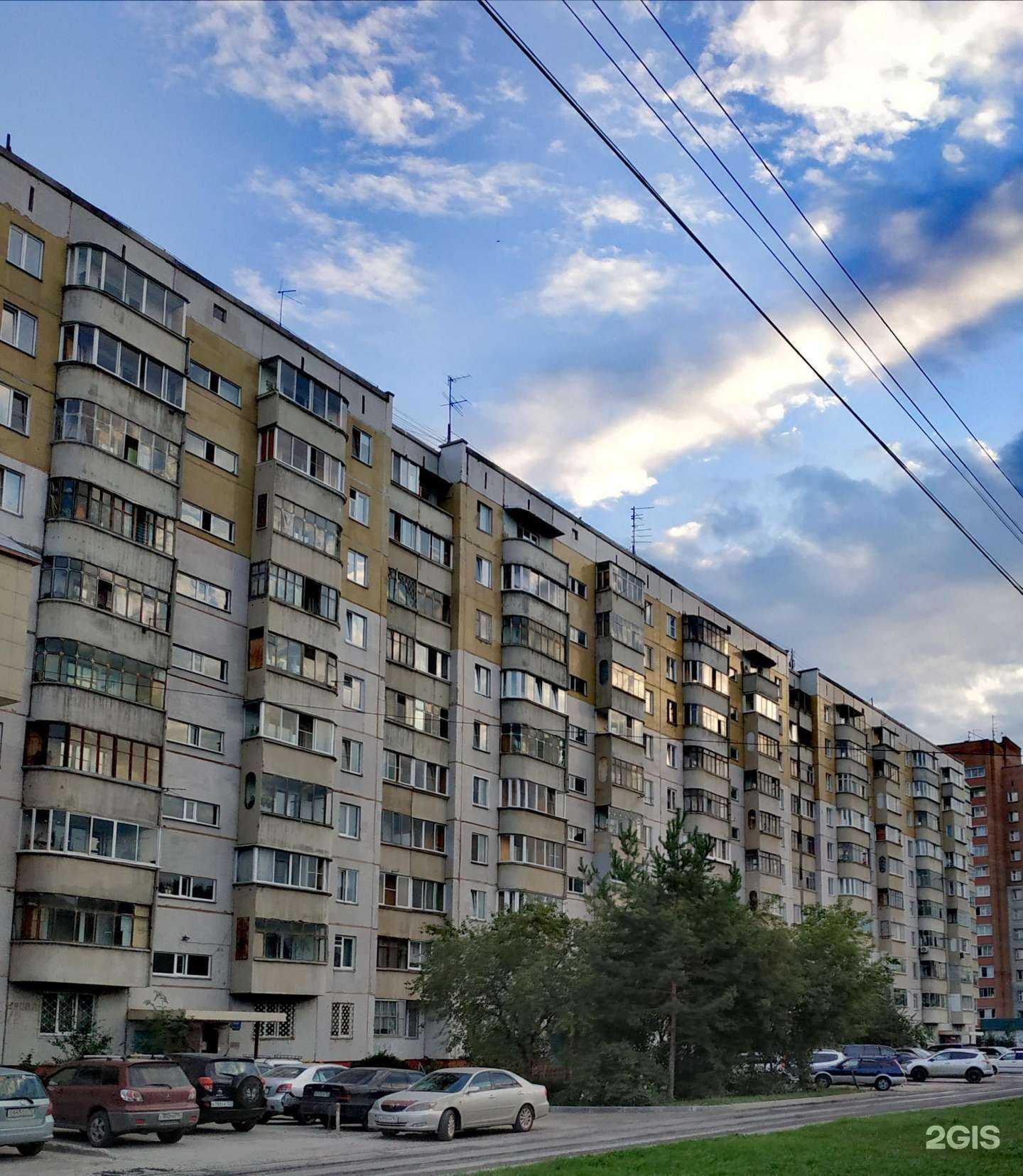 Отзывы на компанию Городская ветеринарная служба в Новосибирске c фото