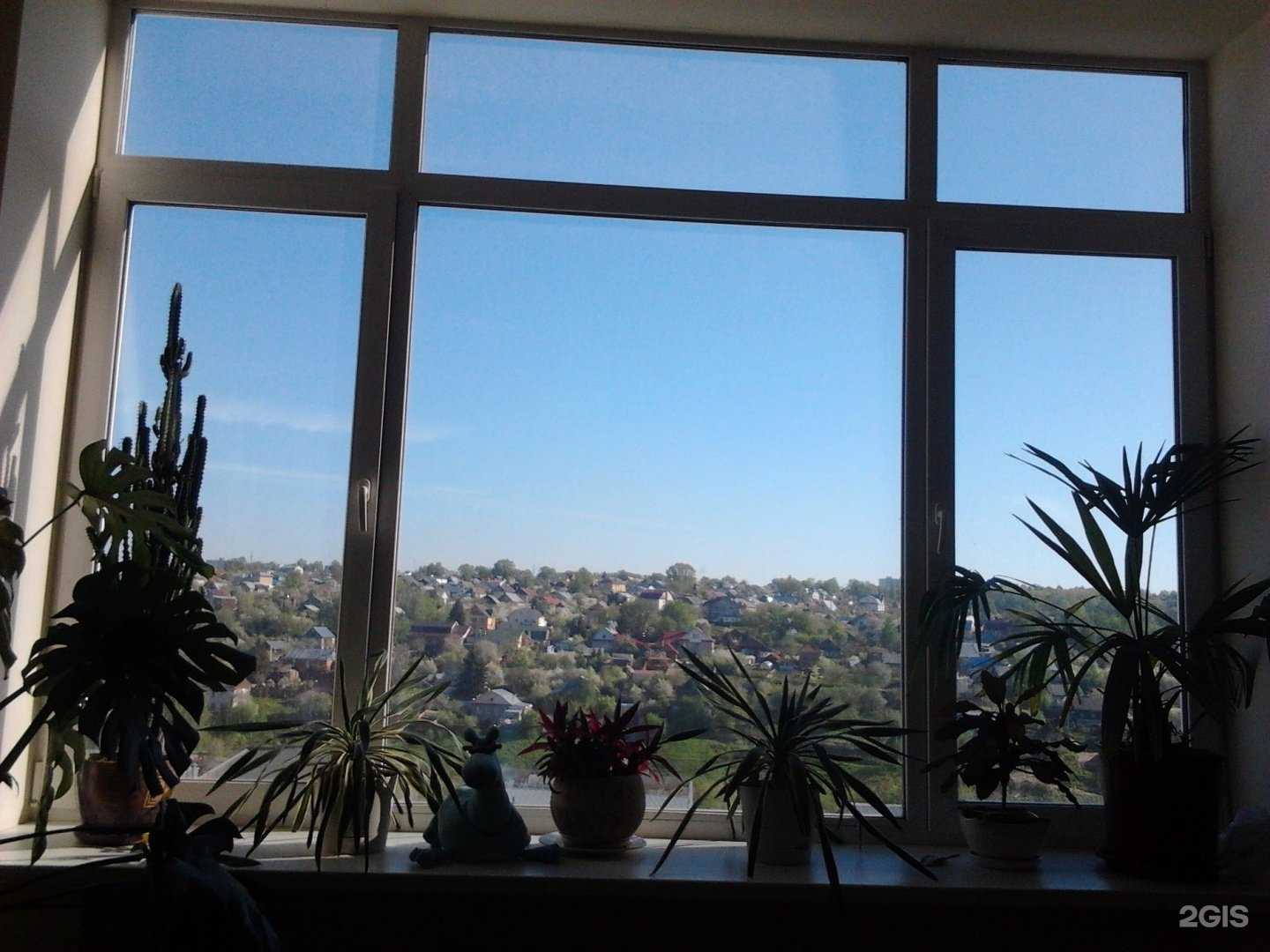 Отзывы на компанию Браво Софт в Нижнем Новгороде c фото