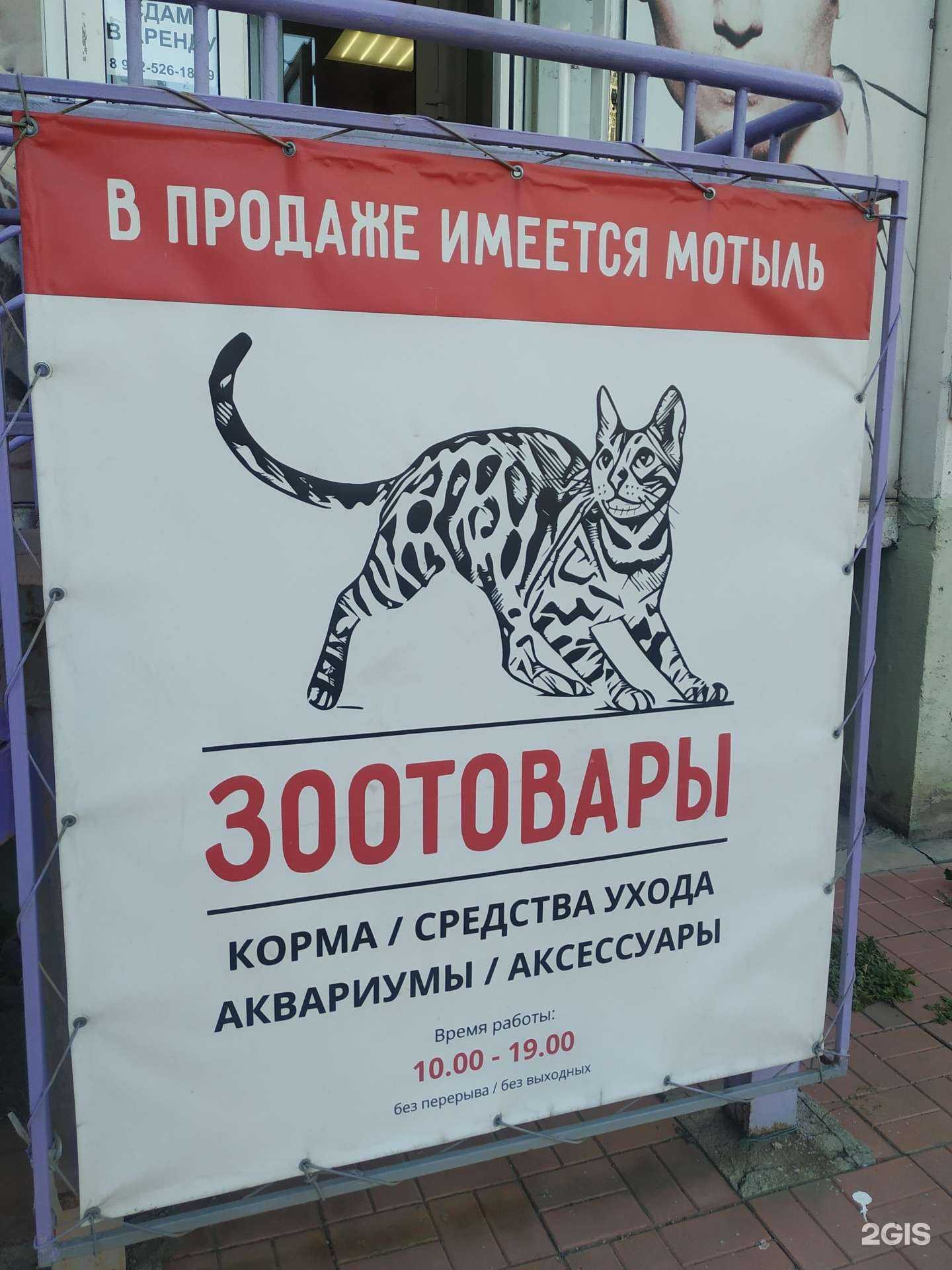 Отзывы на компанию Зоомагазин в Челябинске c фото