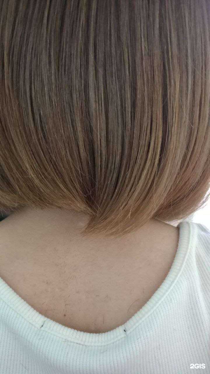 Отзывы на компанию Лотос в Краснодаре c фото