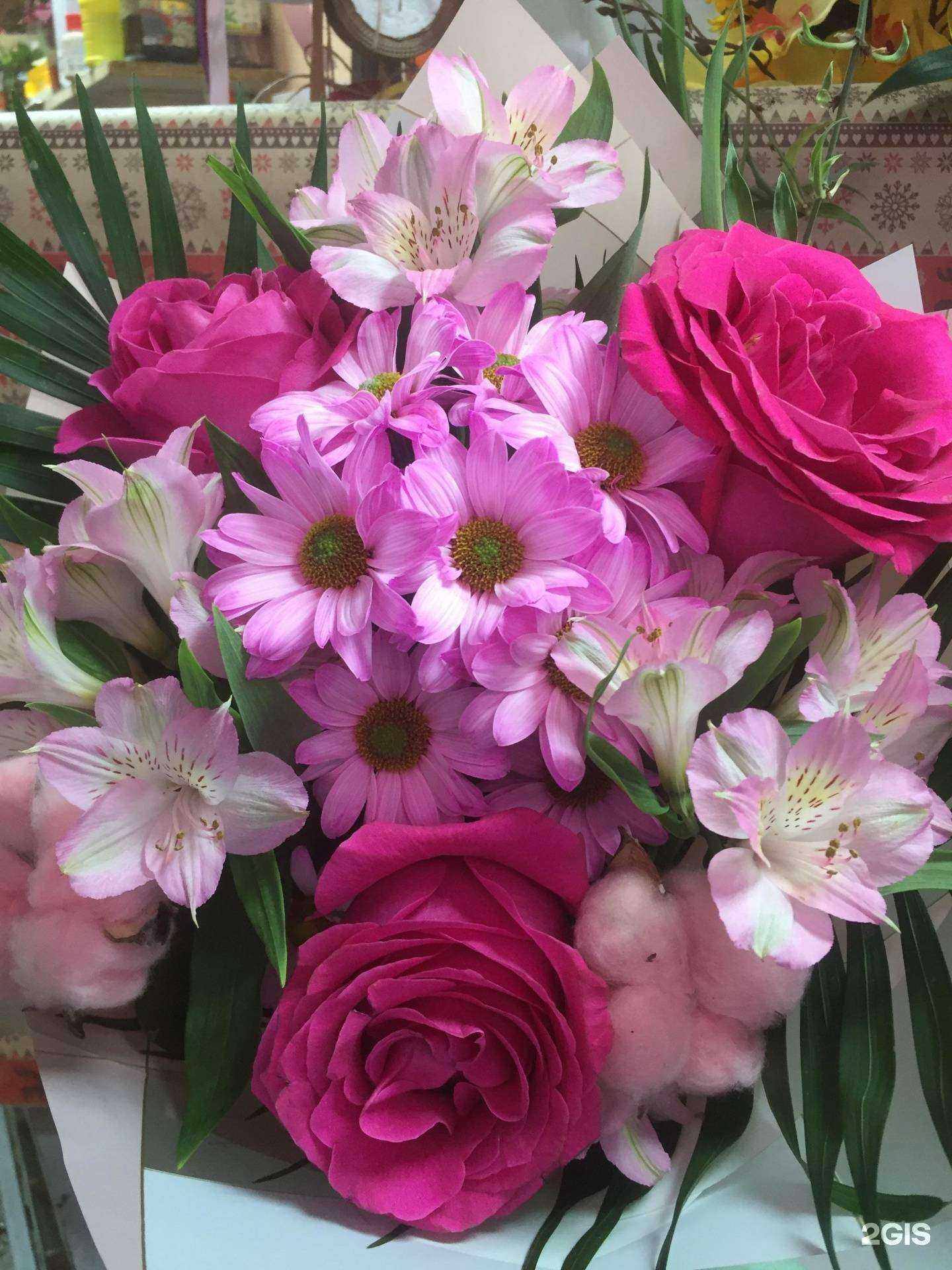 Отзывы на компанию Эдельвейс в г. Красноярск c фото