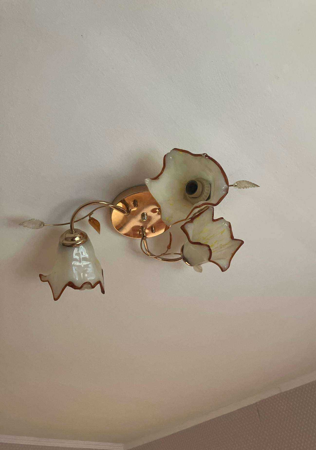 Отзывы на компанию Каштачная в г. Томск c фото