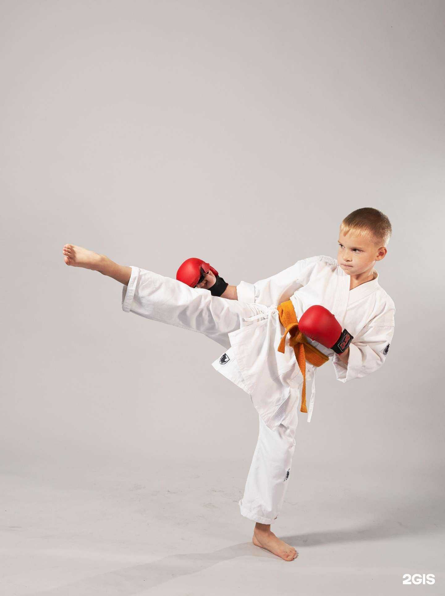 Отзывы на компанию Атака в г. Новосибирск c фото