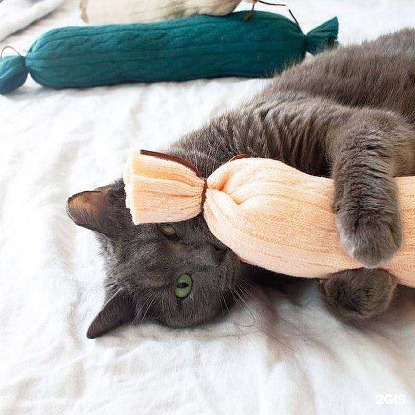 Отзывы на компанию Друг в г. Иркутск c фото