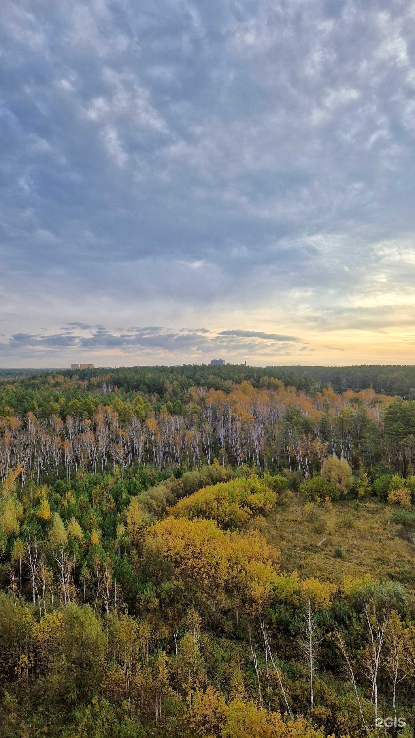 Отзывы на компанию Beauty room в Новосибирске c фото - фотография 2 из 2