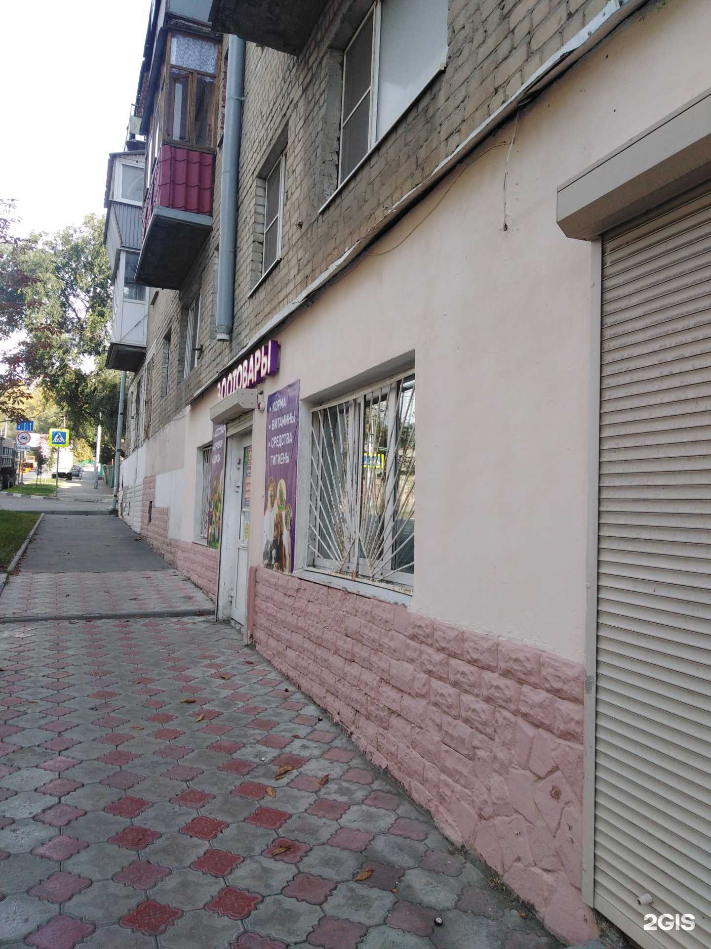 Отзывы на компанию Магазин зоотоваров в Саратове c фото