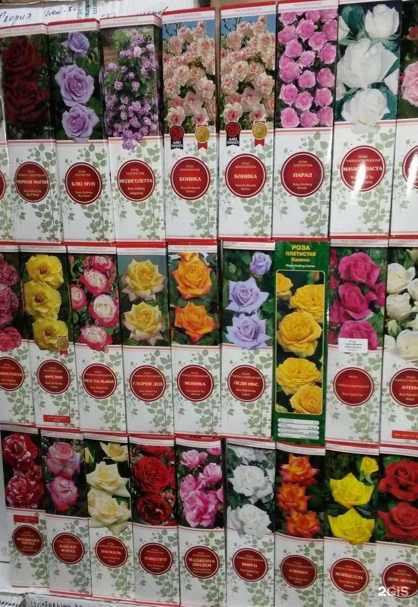 Отзывы на компанию Росток 26 в Пятигорске c фото