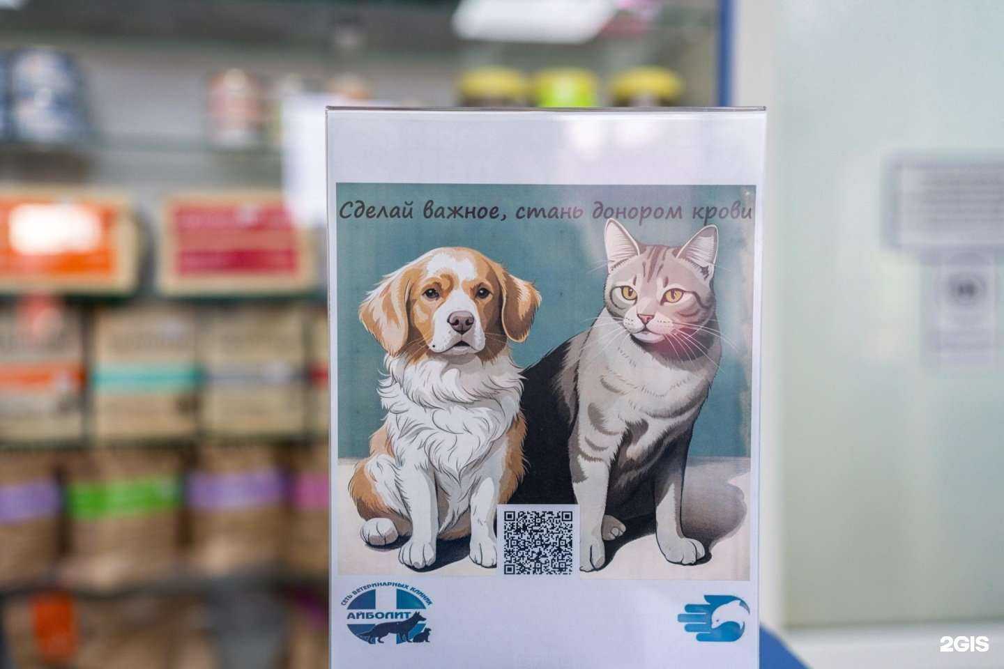 Отзывы на компанию Айболит в Сочи c фото