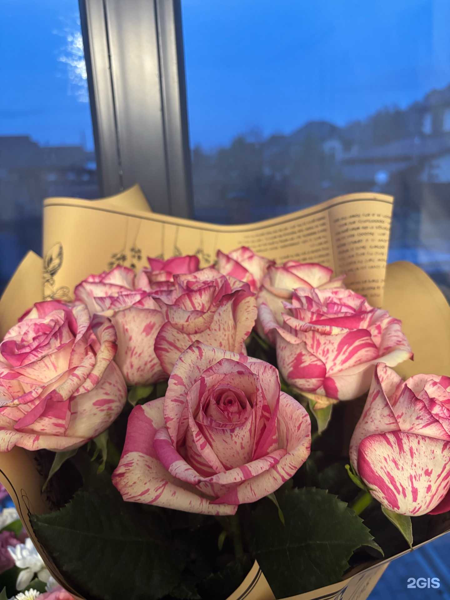 Отзывы на компанию Леди Роза в г. Барнаул c фото