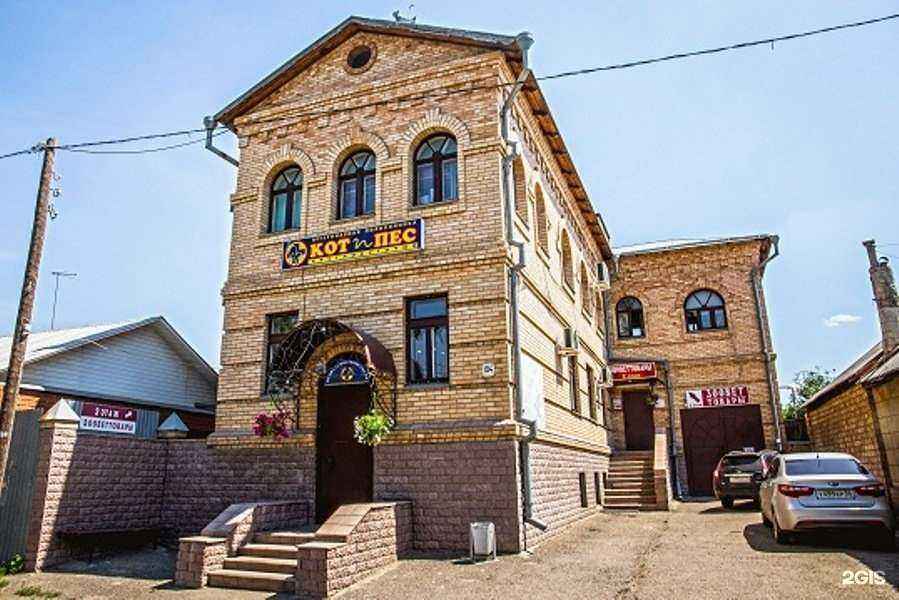 Отзывы на компанию Кот и Пёс в г. Оренбург c фото
