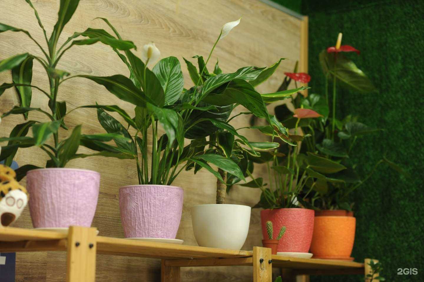 Отзывы на компанию Экспресс Букет 24 в Саратове c фото