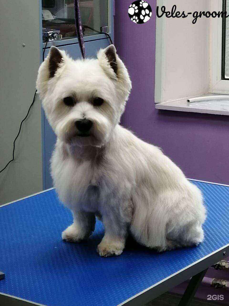 Отзывы на компанию Велес в г. Королёв c фото