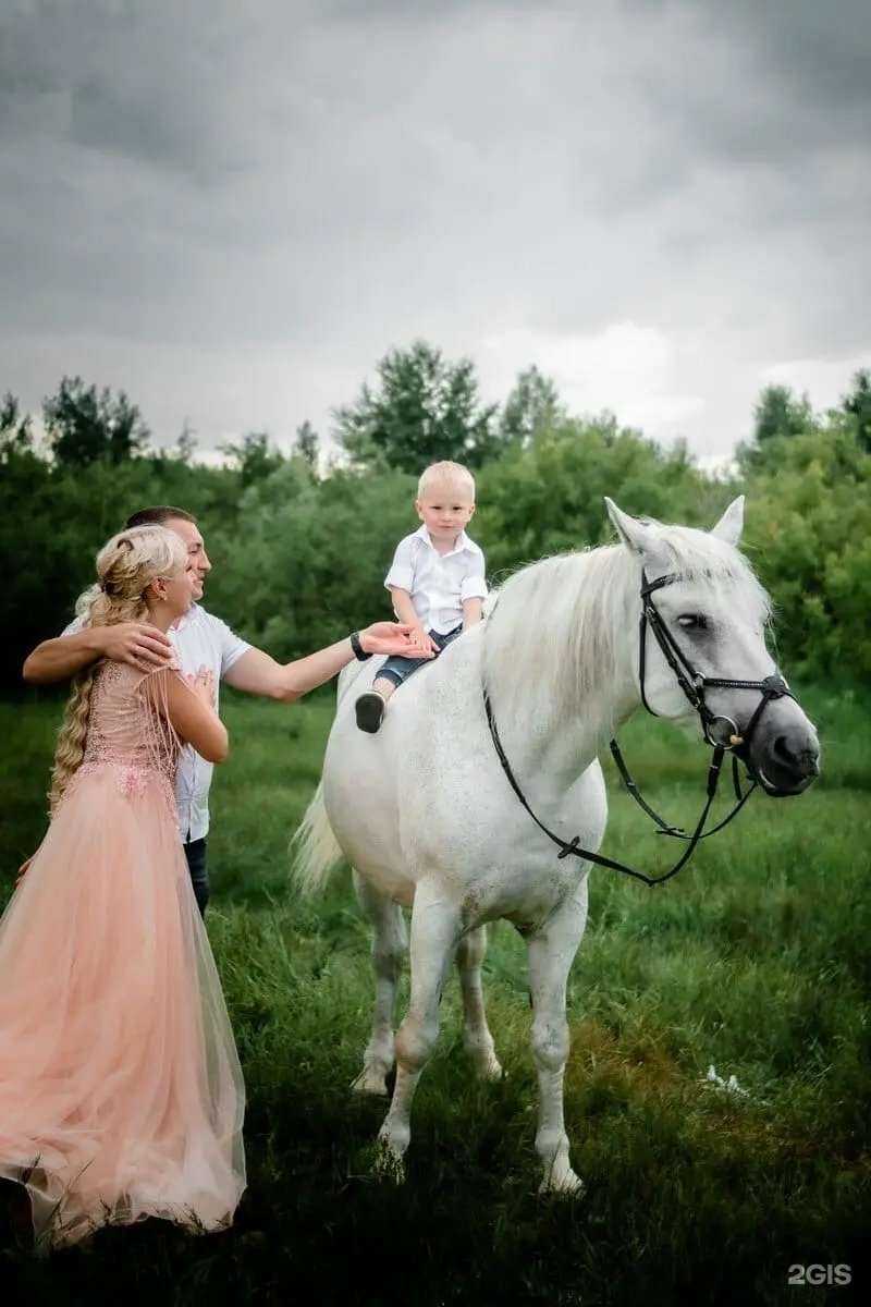 Отзывы на компанию Конный мир в Кирове c фото