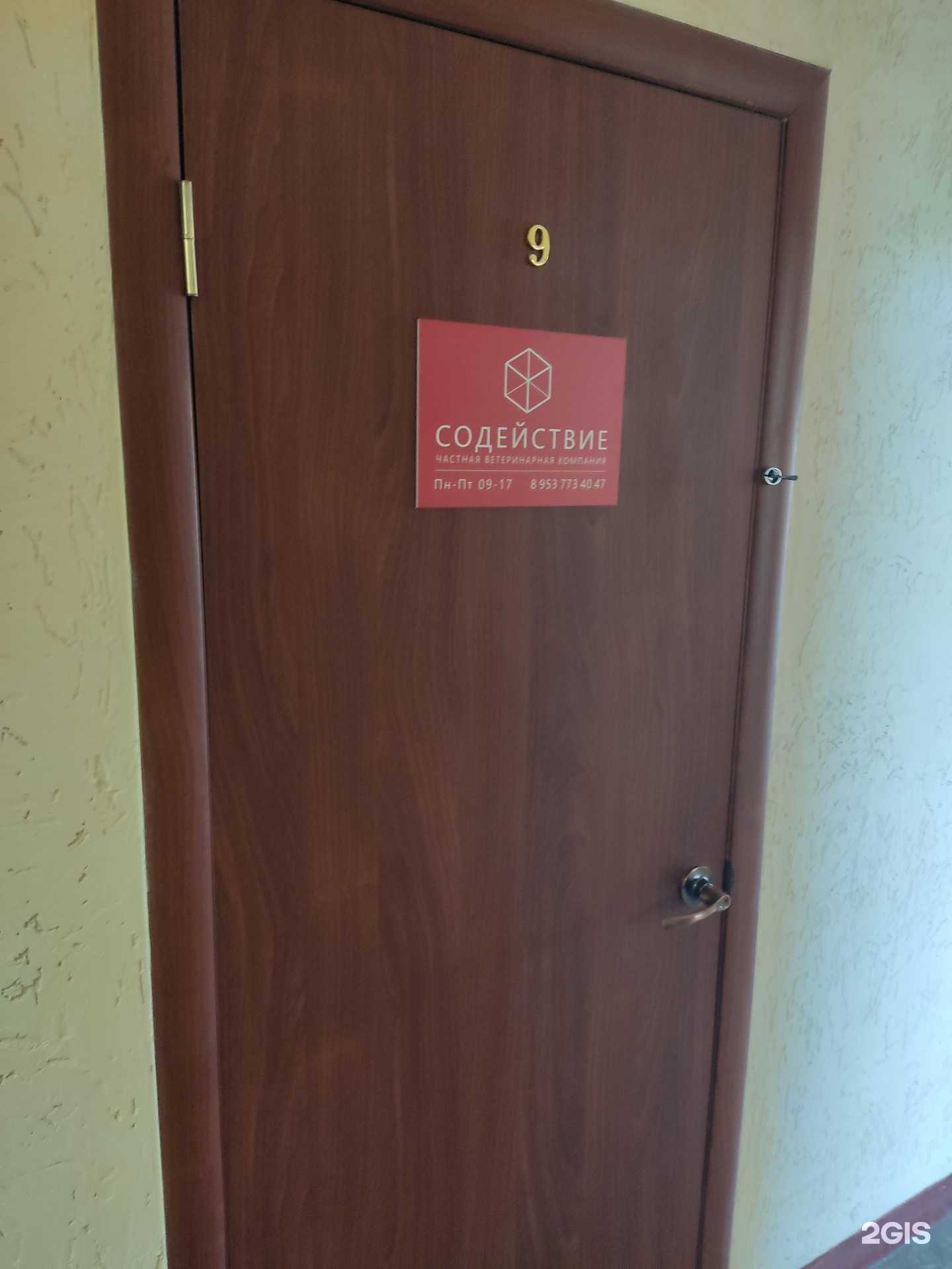 Отзывы на компанию Содействие в Новосибирске c фото