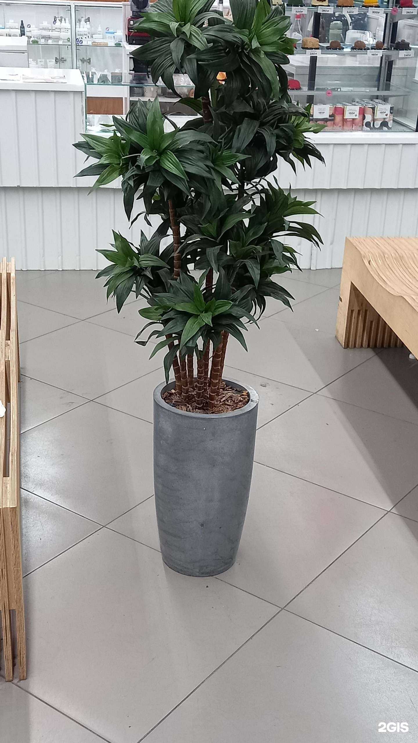 Отзывы на компанию Frolenko.design в Артёме c фото