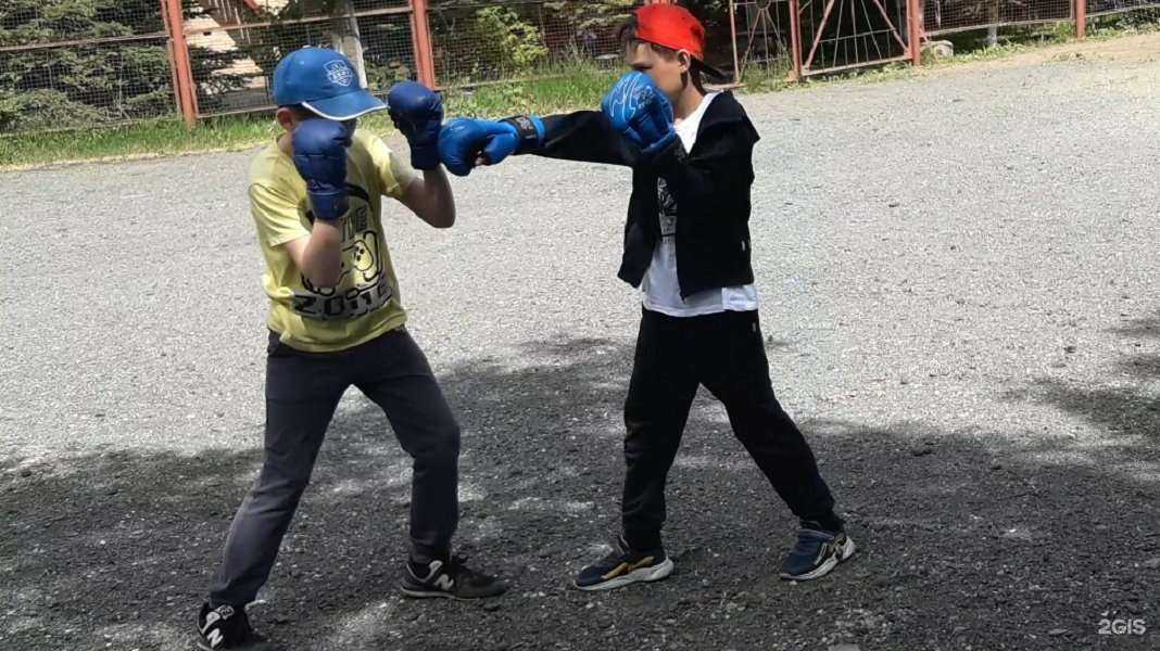 Отзывы на компанию Приморская федерация боевых искусств в Владивостоке c фото