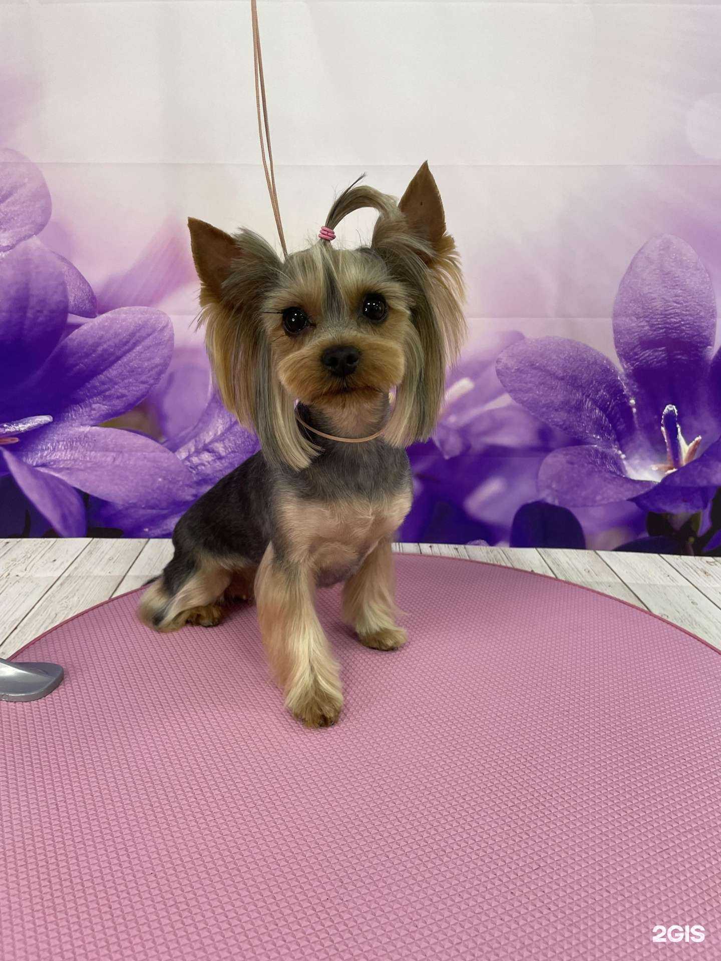 Отзывы на компанию Шери в Астрахани c фото