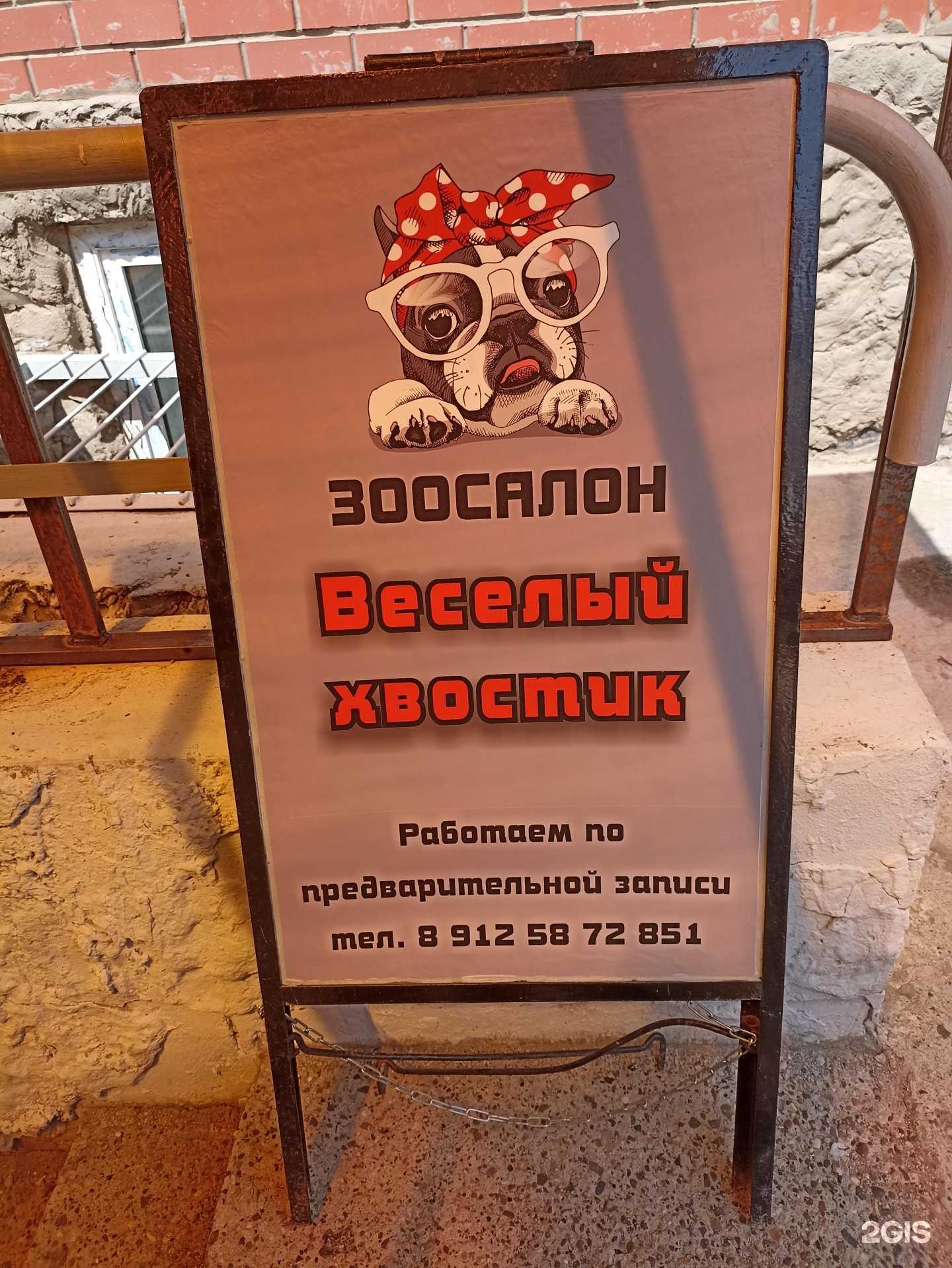 Отзывы на компанию Веселый хвостик в г. Пермь c фото