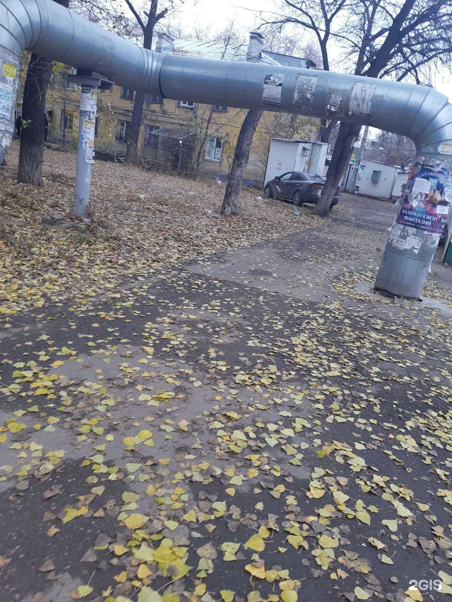 Отзывы на компанию Вита Экспресс в Самаре c фото - фотография 2 из 2