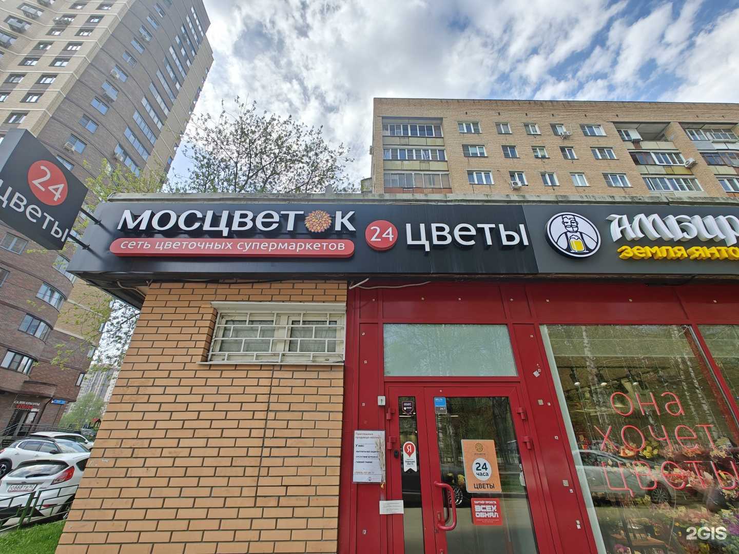 Отзывы на компанию Мосцветок в Долгопрудном c фото