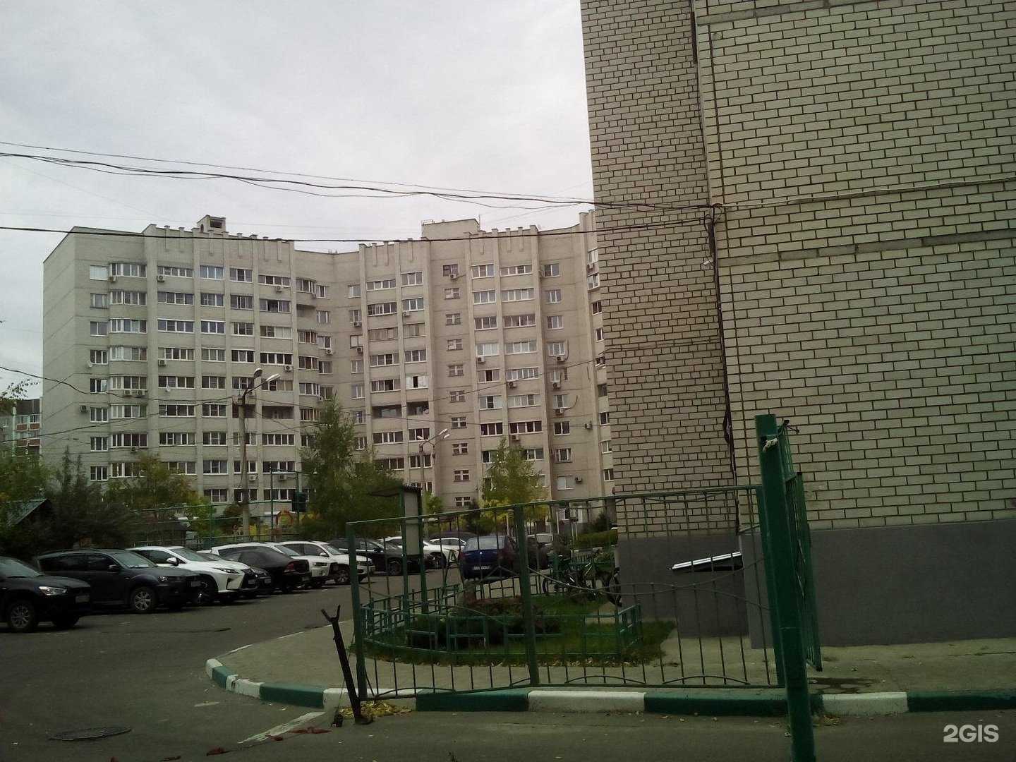 Отзывы на компанию Стелла в Воронеже c фото - фотография 2 из 2