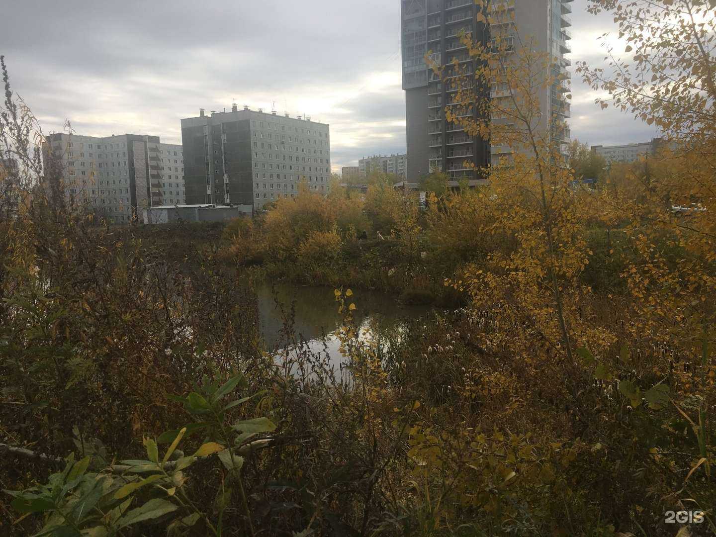 Отзывы на компанию Центр изучения английского языка в Красноярске c фото - фотография 2 из 2