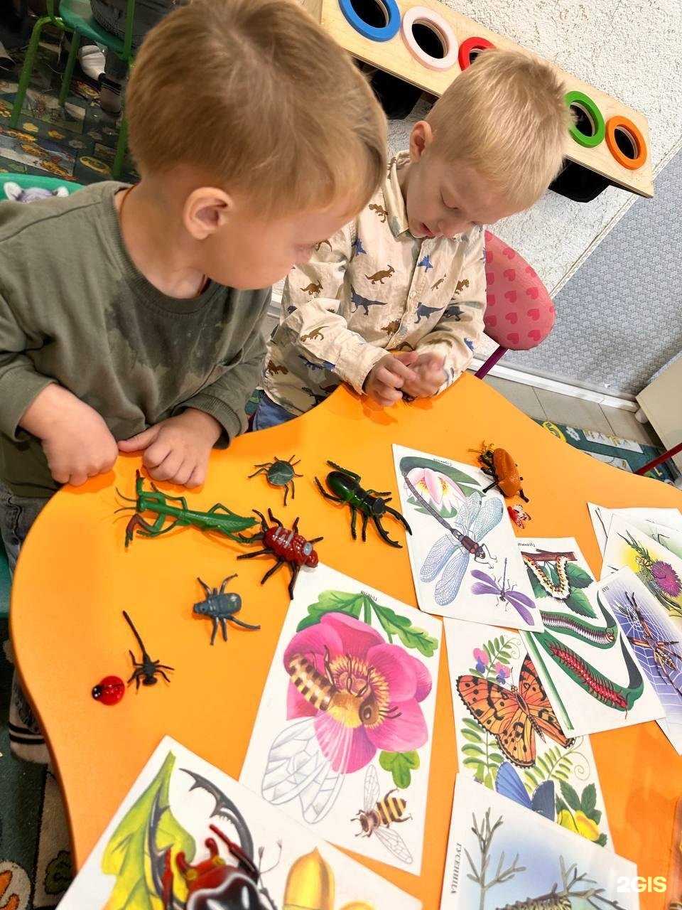 Отзывы на компанию Logos в Саранске c фото