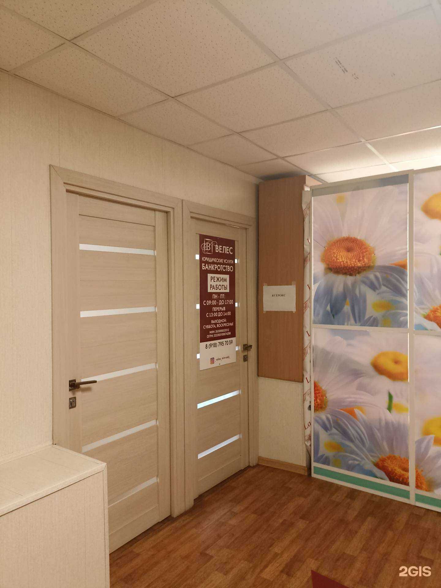 Отзывы на компанию Велес в г. Минеральные Воды c фото