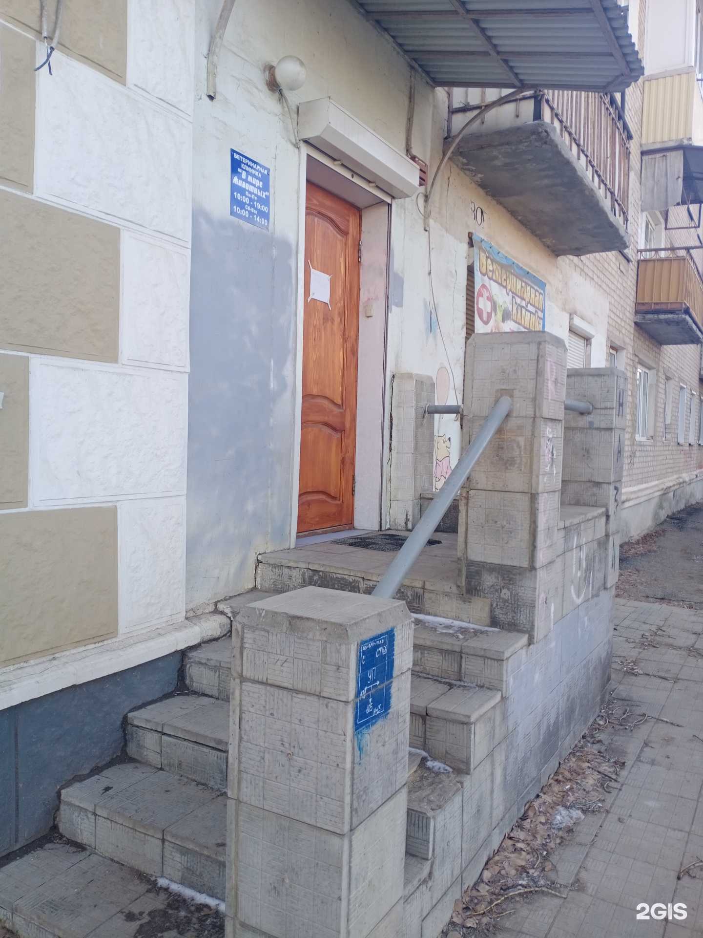 Отзывы на компанию В мире животных в г. Волгоград c фото