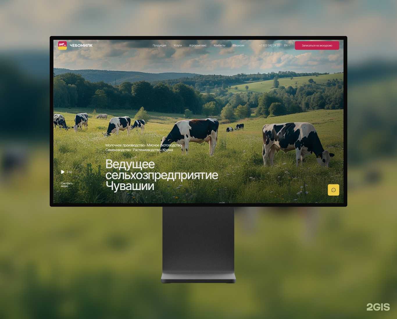 Отзывы на компанию Web Dev Studio в Тюмени c фото