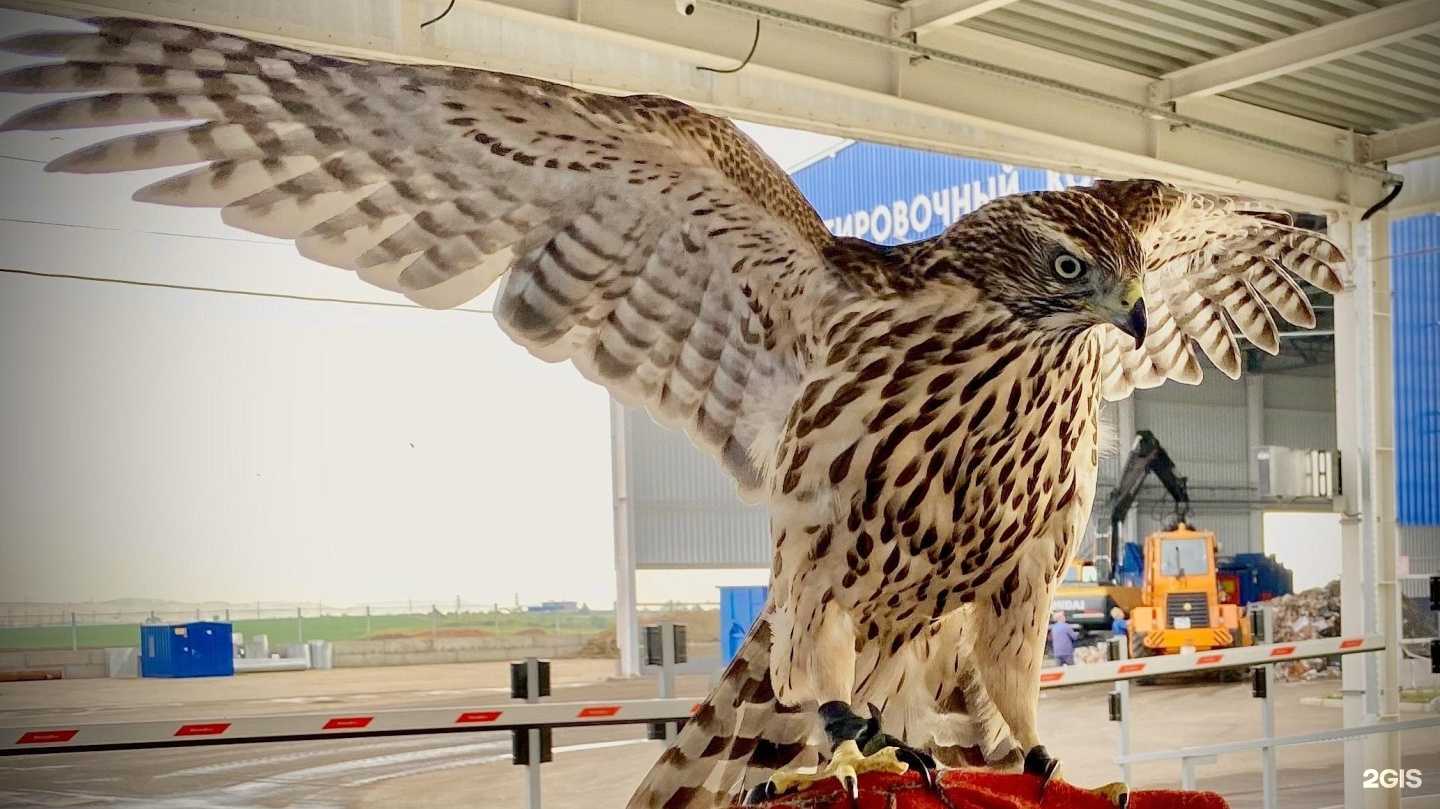 Отзывы на компанию Вторматик в г. Магнитогорск c фото