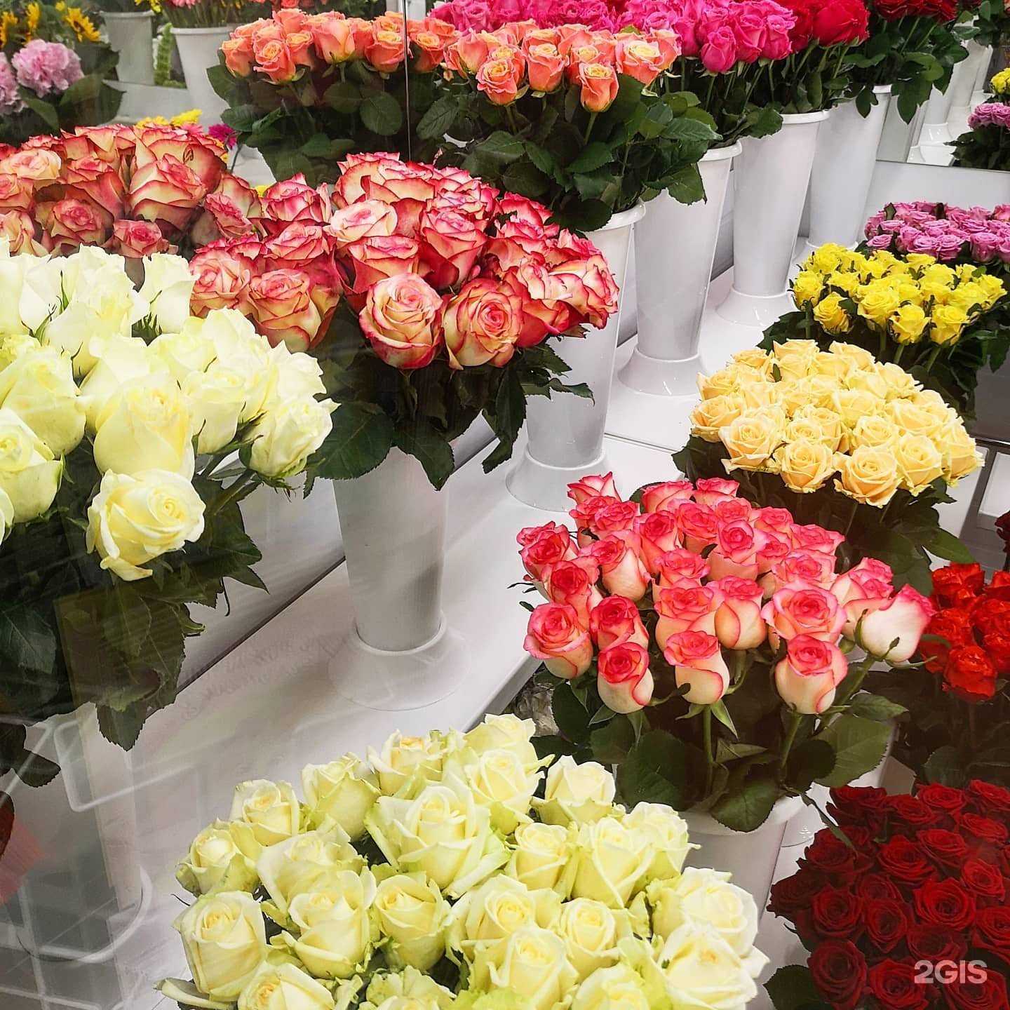 Отзывы на компанию Цветторг48 в г. Липецк c фото