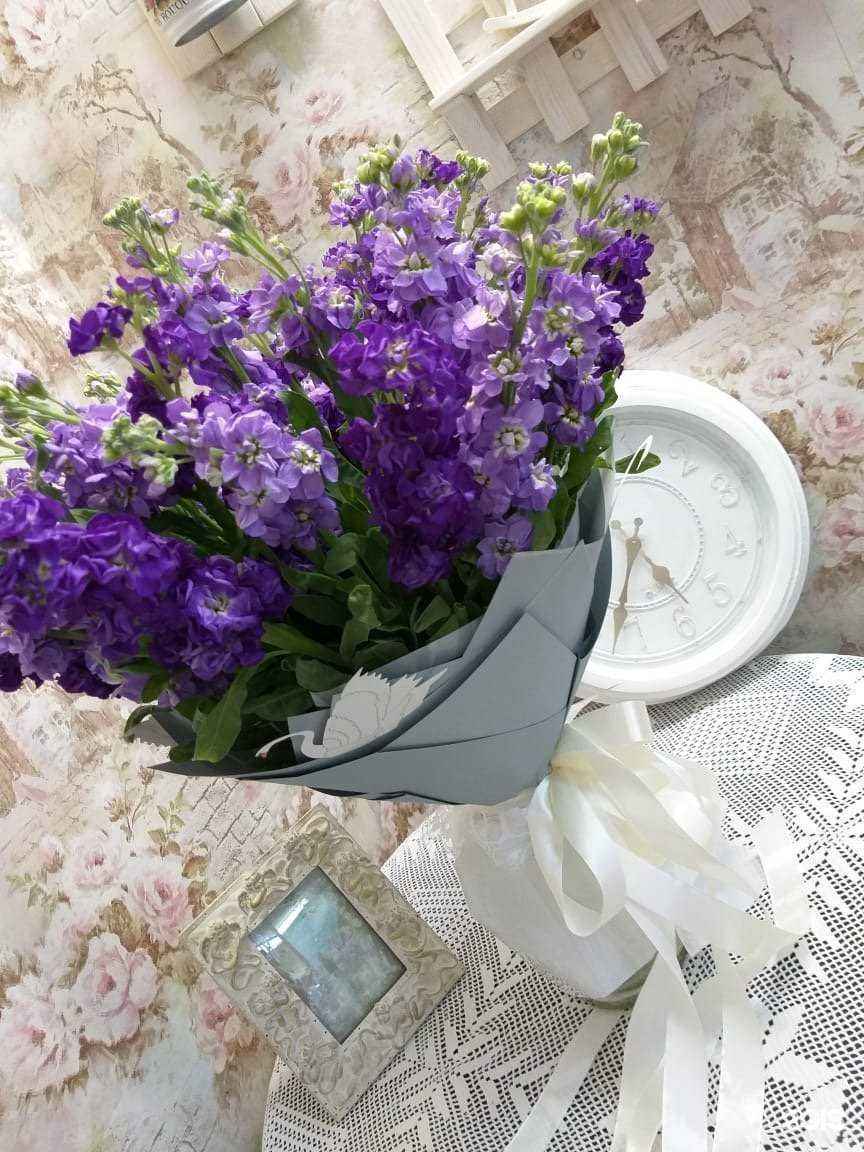 Отзывы на компанию Прованс в Бердске c фото