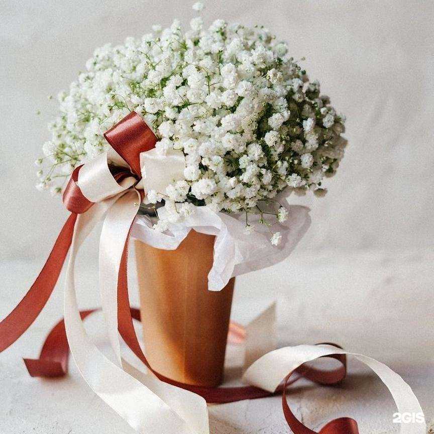 Отзывы на компанию FLOraОПТ в Новосибирске c фото