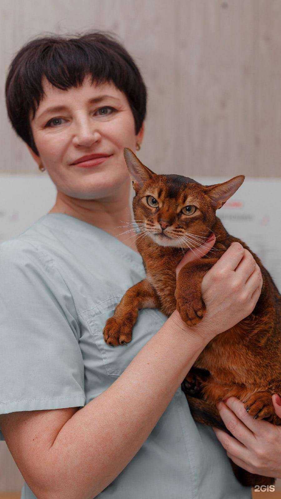 Отзывы на компанию Абвет в Омске c фото