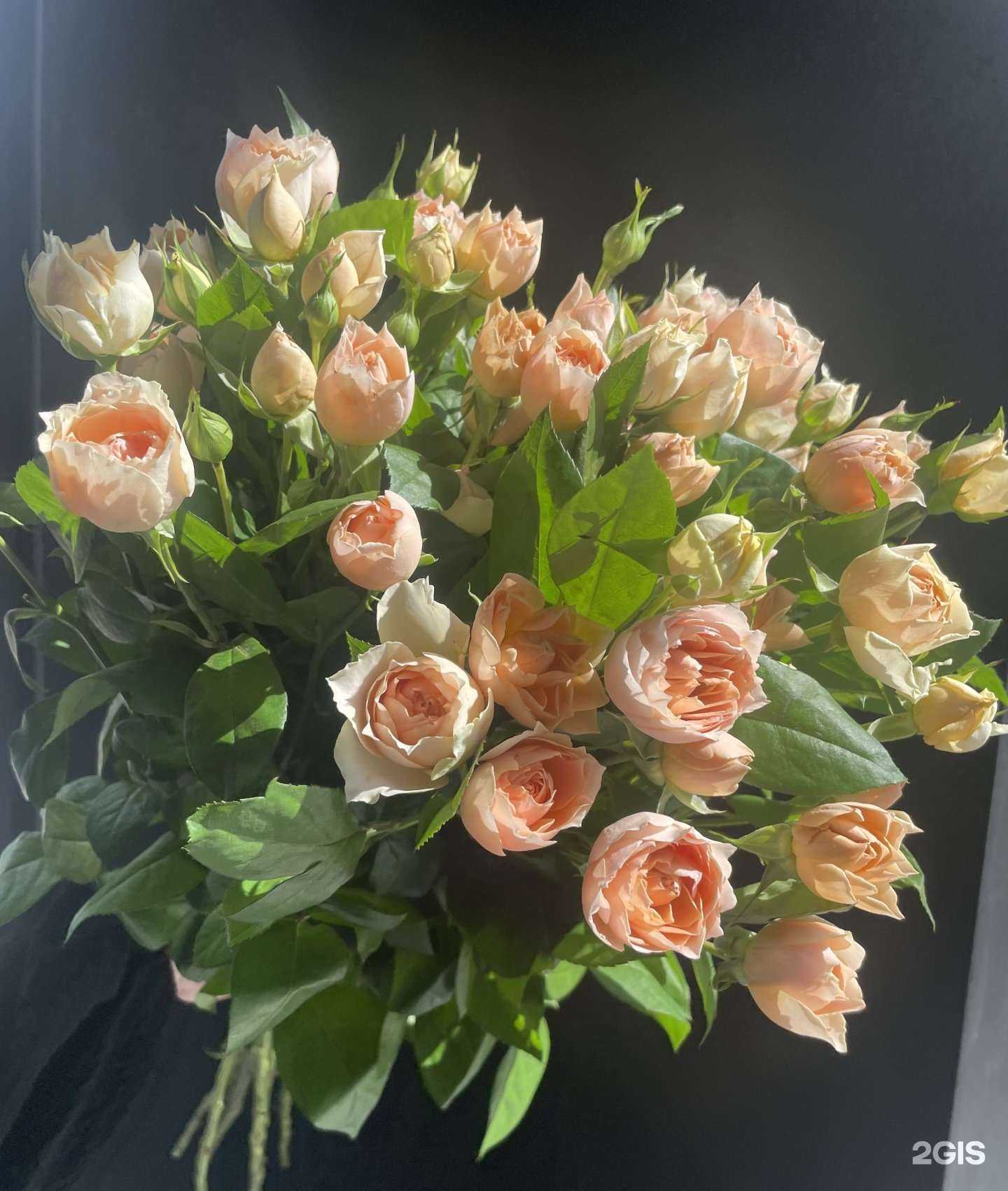 Отзывы на компанию Flowerhub в Сургуте c фото