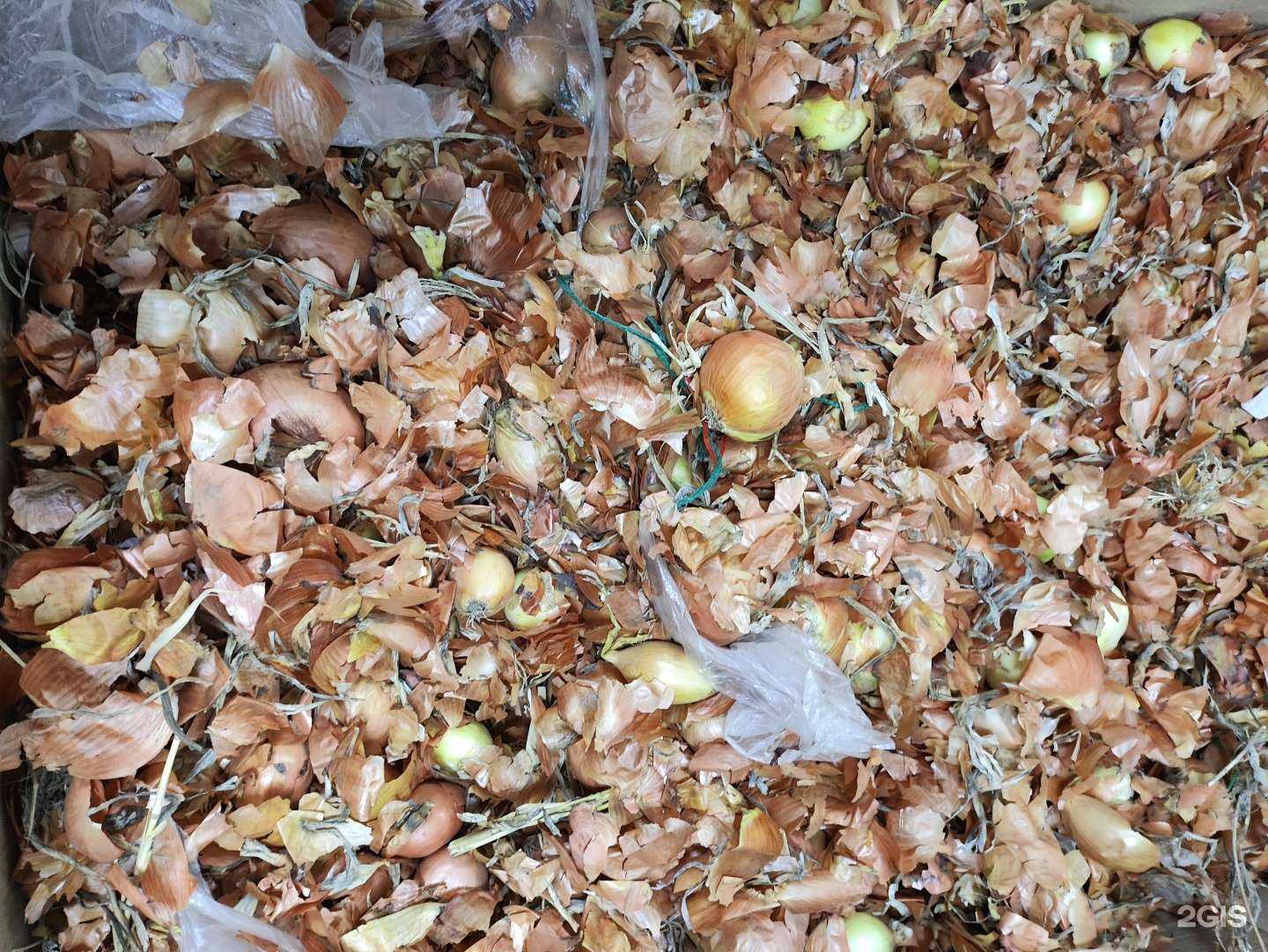 Отзывы на компанию Happy English в Красноярске c фото - фотография 2 из 2