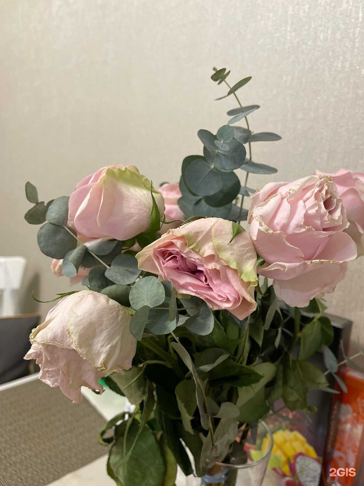 Отзывы на компанию Орхидея в г. Тольятти c фото