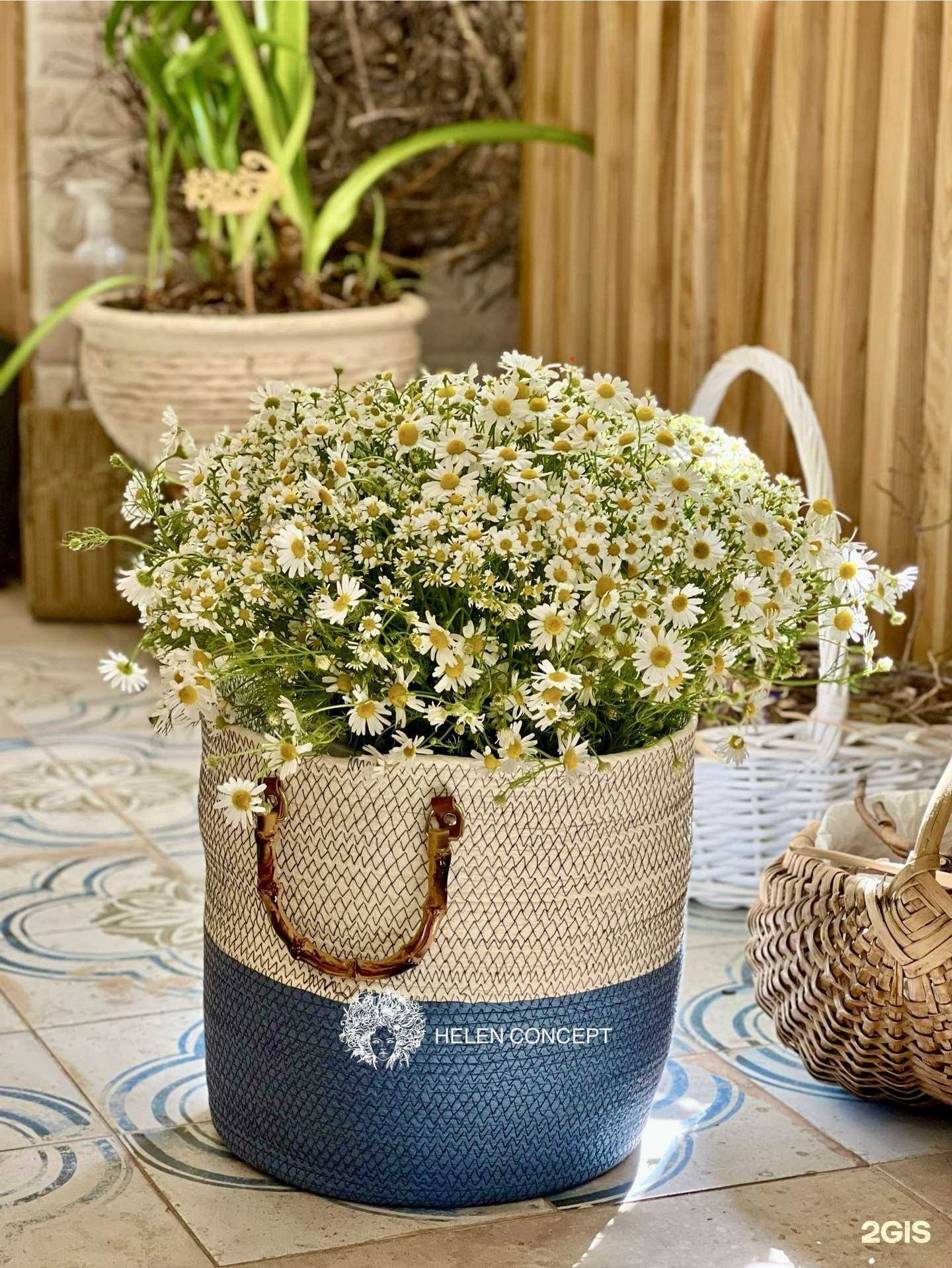 Отзывы на компанию Helen concept в Челябинске c фото