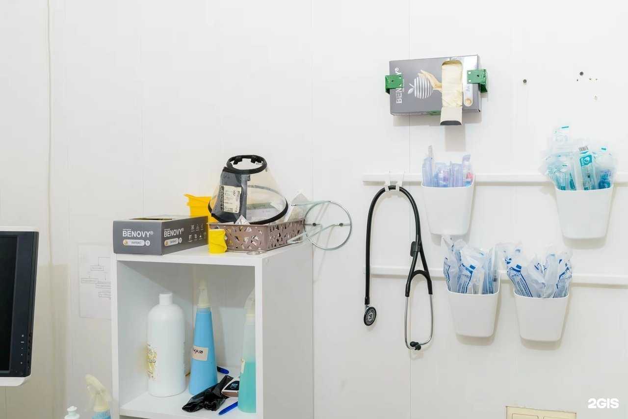 Отзывы на компанию Стаханова-ВЕТ в Липецке c фото