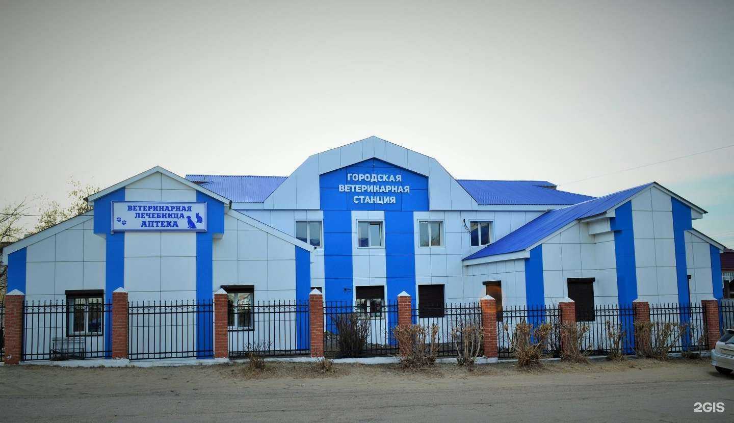 Отзывы на компанию Улан-Удэнская городская станция по борьбе с болезнями животных в Улан-Удэ c фото