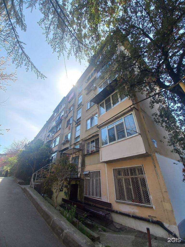 Отзывы на компанию Энималз в Сочи c фото - фотография 2 из 2