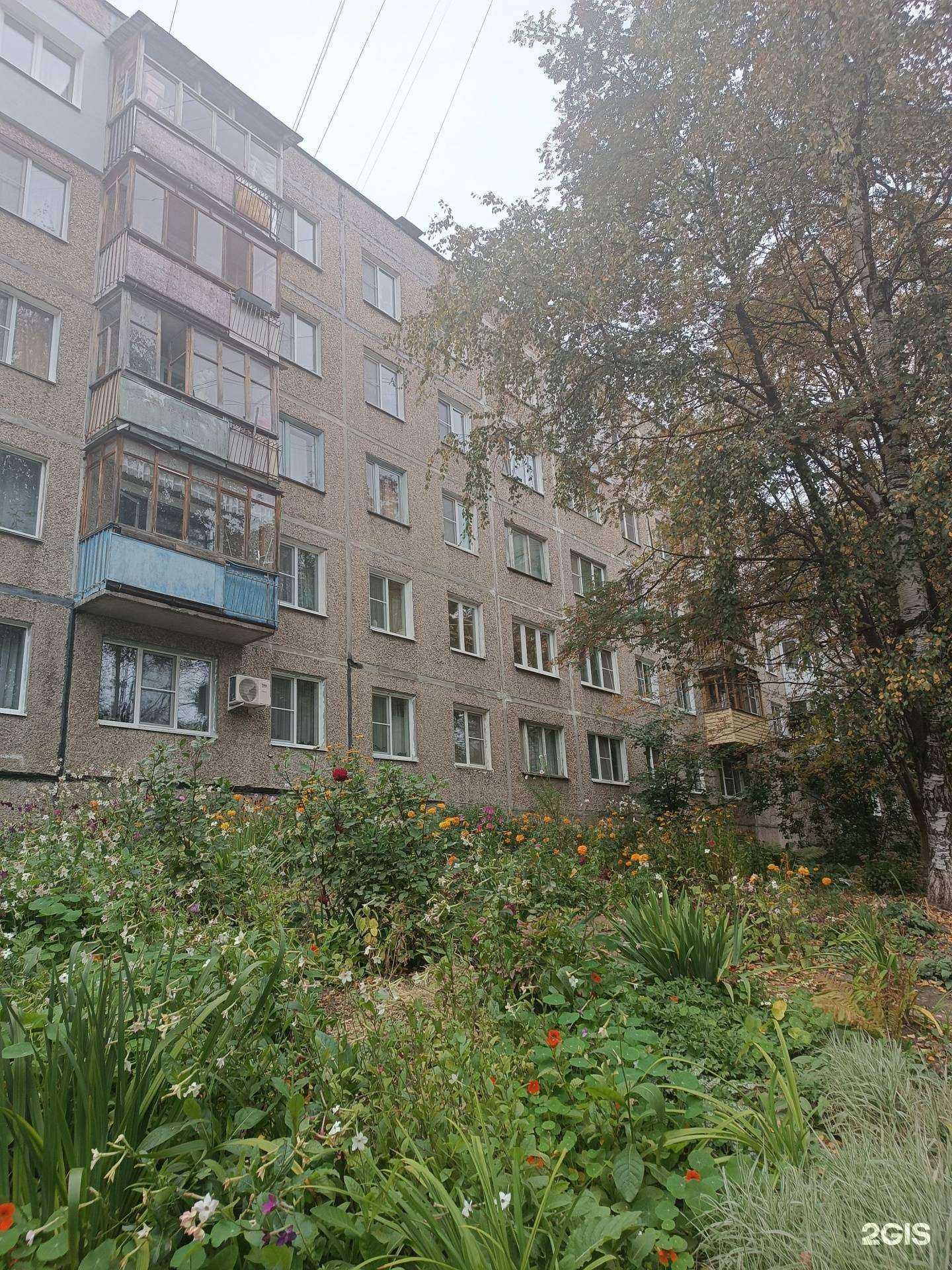 Отзывы на компанию Мир Пиццы в Нижнем Новгороде c фото - фотография 2 из 2