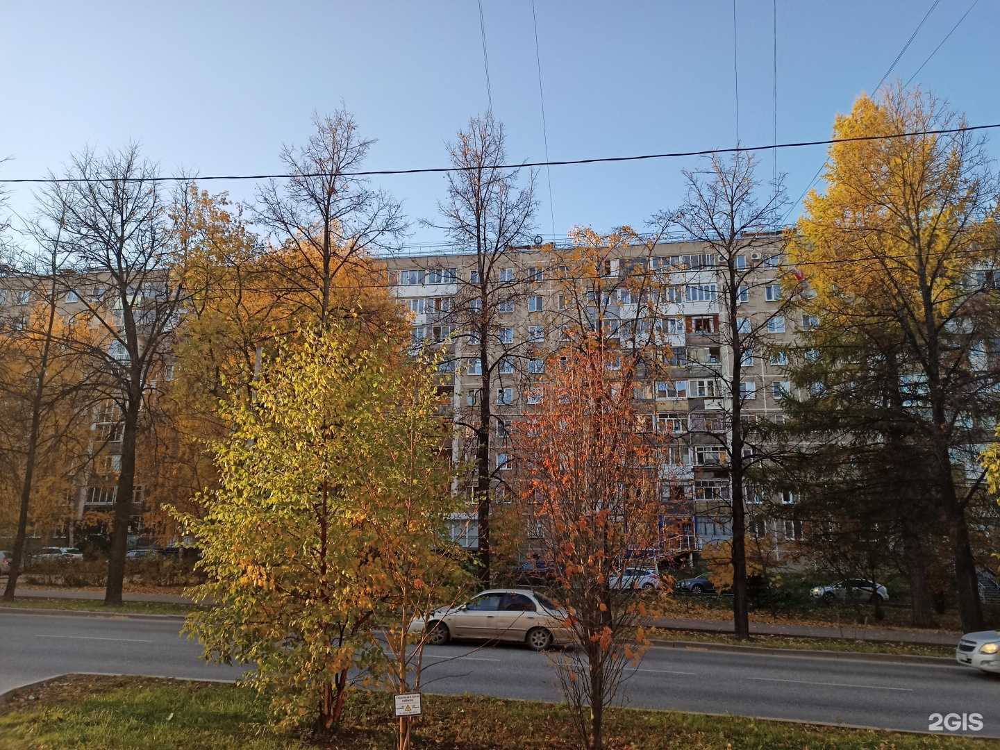 Отзывы на компанию Diol в Перми c фото - фотография 2 из 2