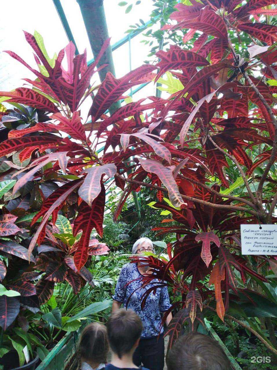 Отзывы на компанию Городской детский эколого-биологический центр в Казани c фото - фотография 2 из 2