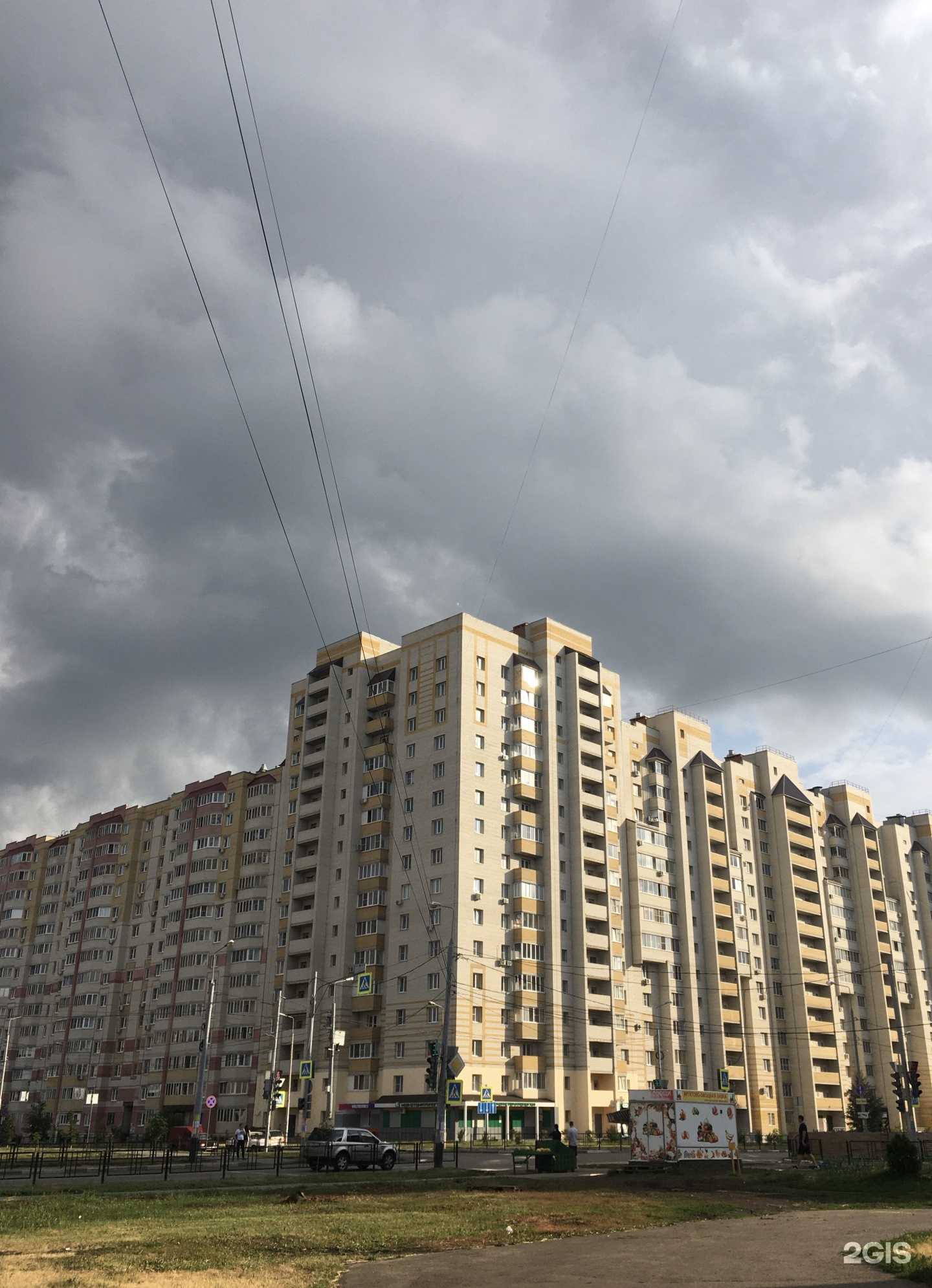 Отзывы на компанию Зверополис в Тамбове c фото - фотография 2 из 2