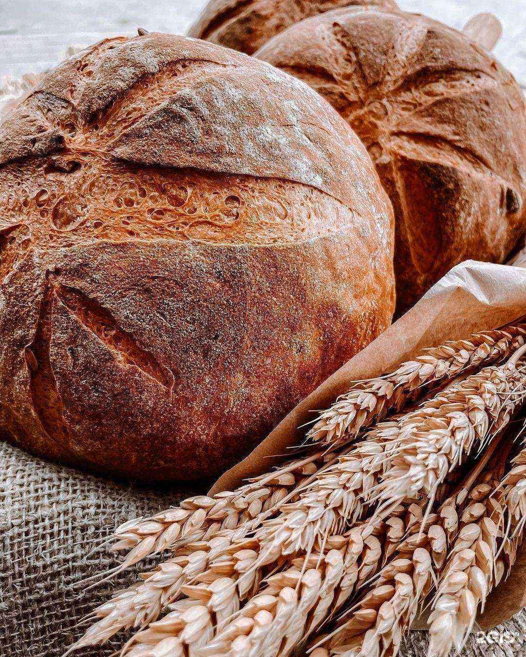 Отзывы на компанию Breadberry в Грозном c фото