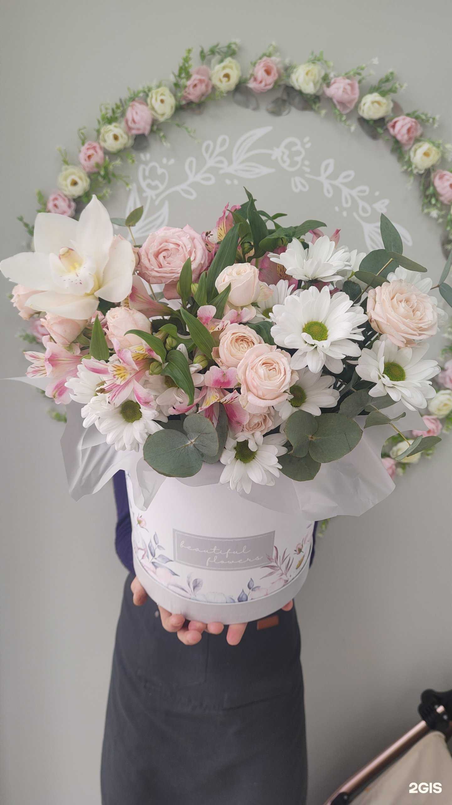 Отзывы на компанию Астра в г. Анапа c фото